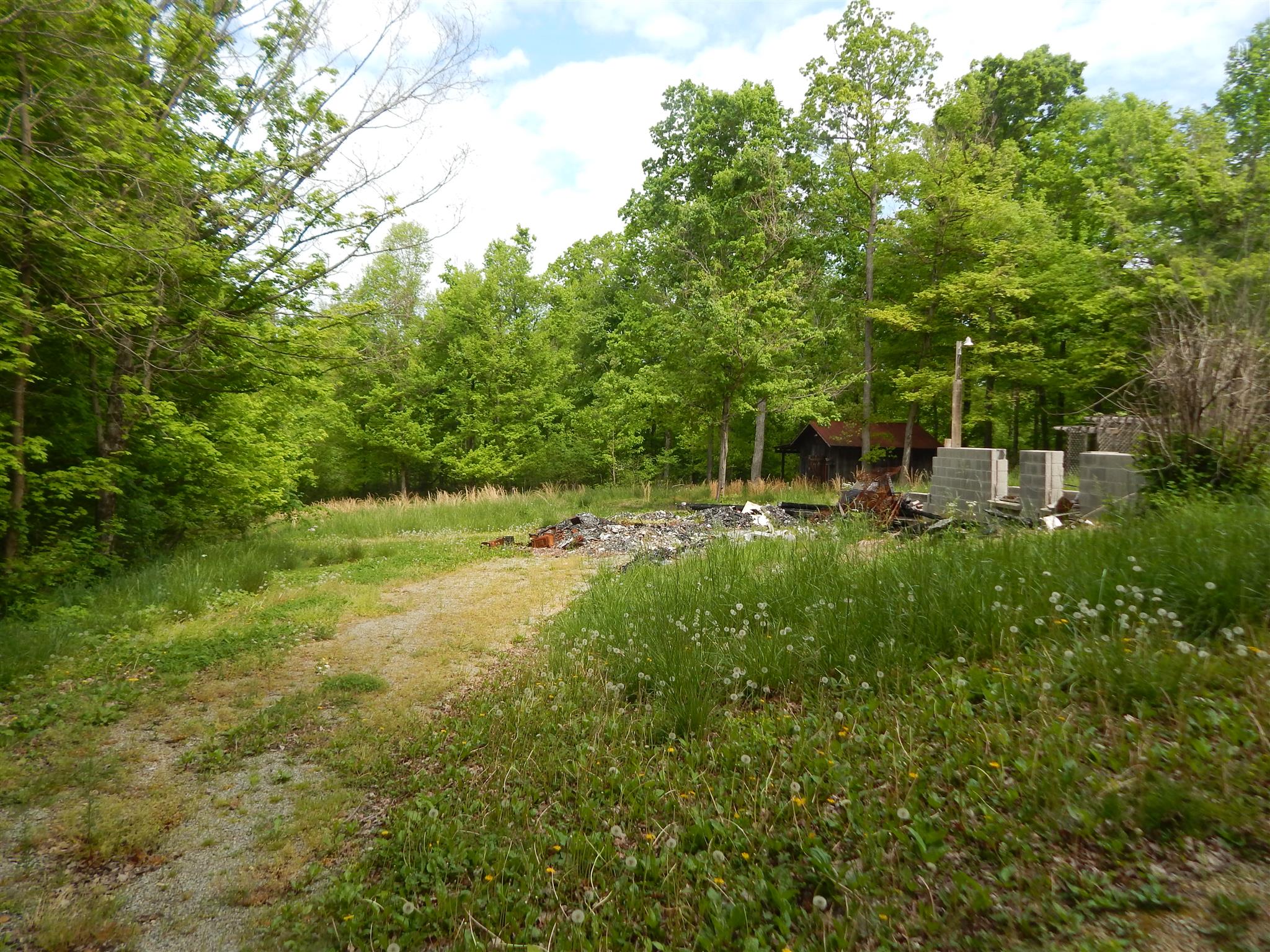1815 Union Road Dickson, TN 37055 - Photo 8 of 13 Gallery Image 8