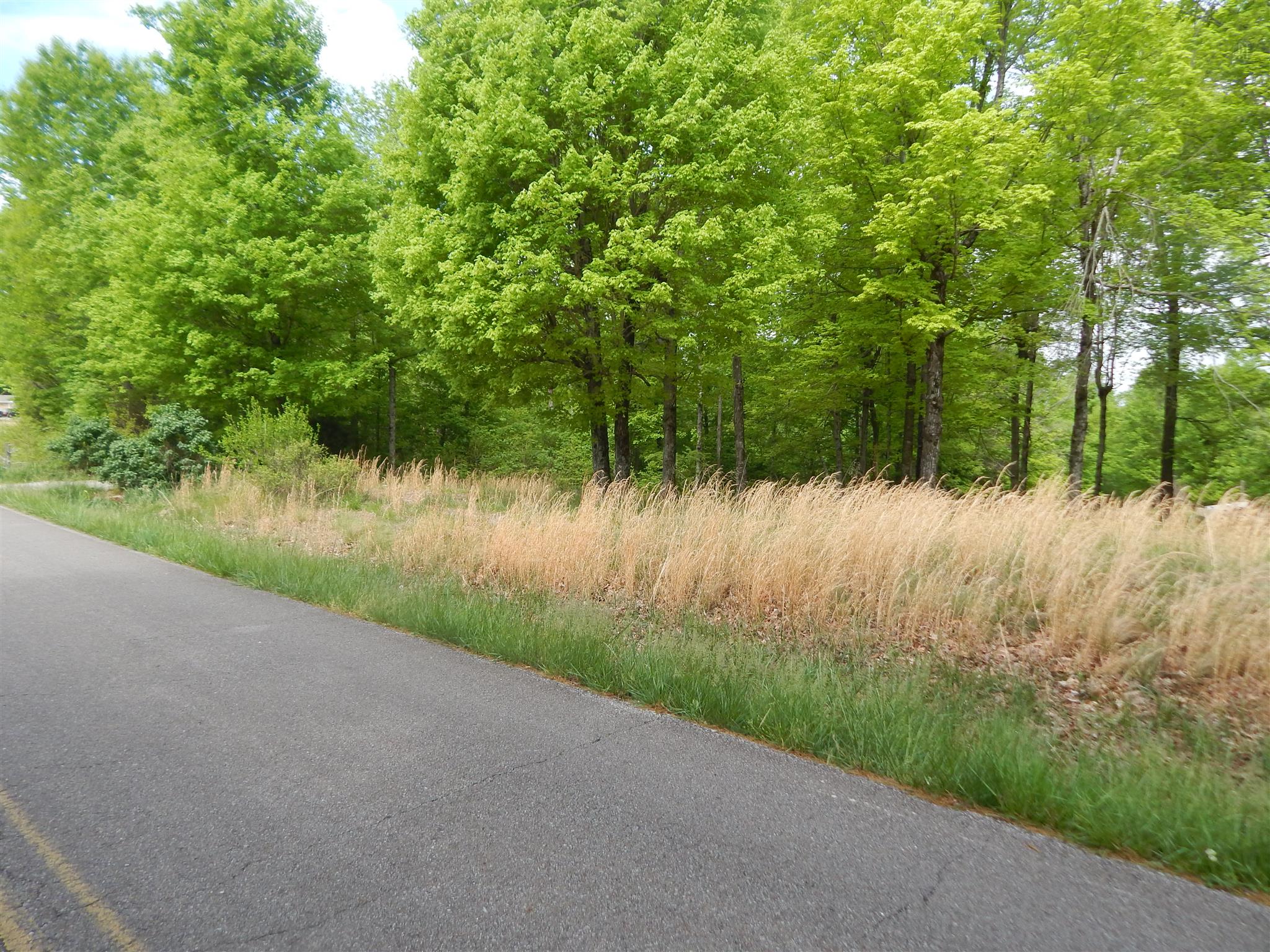 1815 Union Road Dickson, TN 37055 - Photo 9 of 13 Gallery Image 9