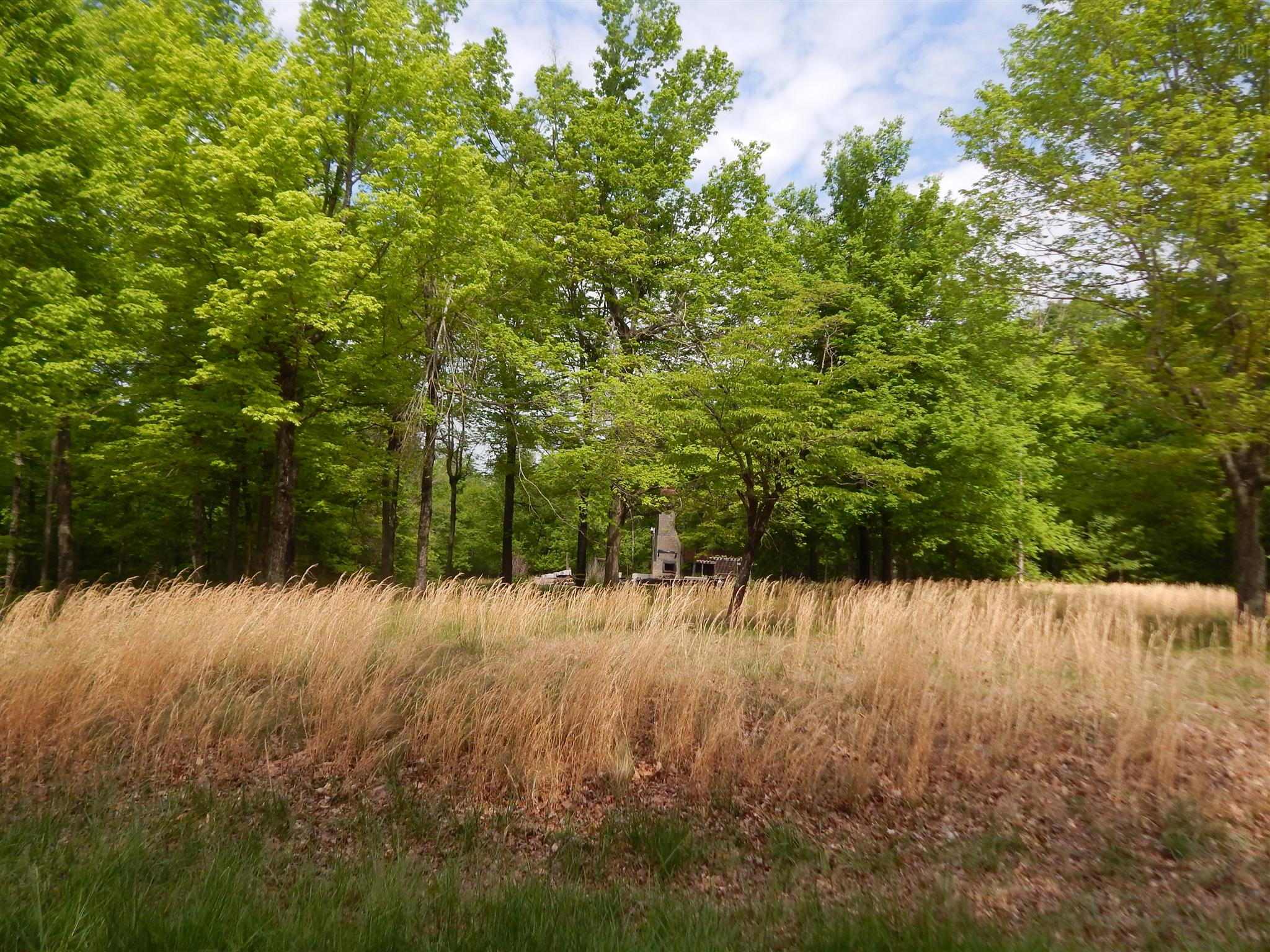 1815 Union Road Dickson, TN 37055 - Photo 10 of 13 Gallery Image 10