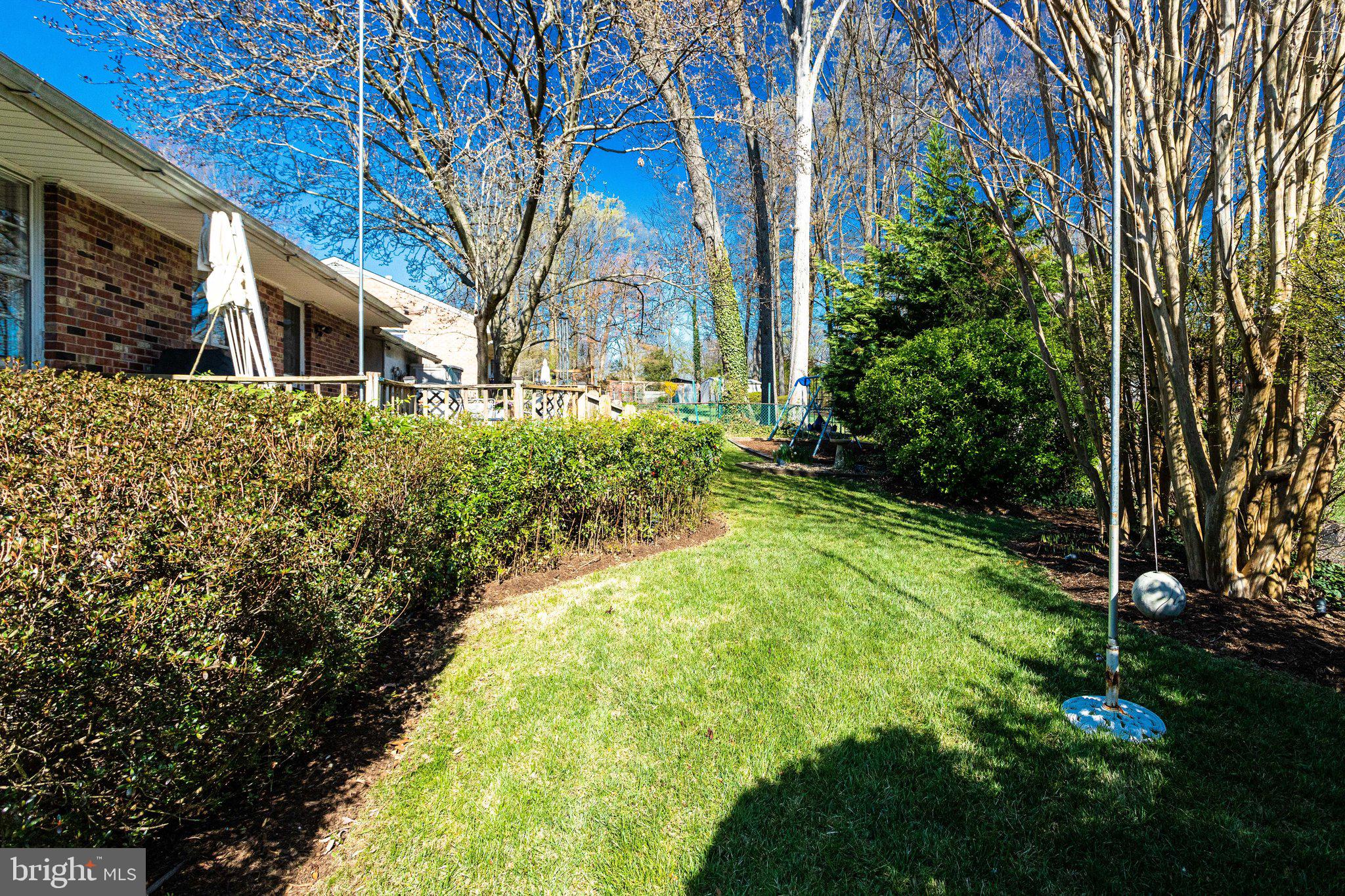 7500 Hamlet Street Springfield, VA 22151 - Photo 54 of 56 Spacious Backyard