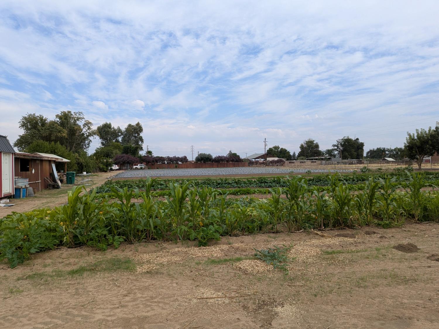 284 South Temperance Avenue Fresno, CA 93737 - Photo 12 of 23 a view of a lake with a big yard