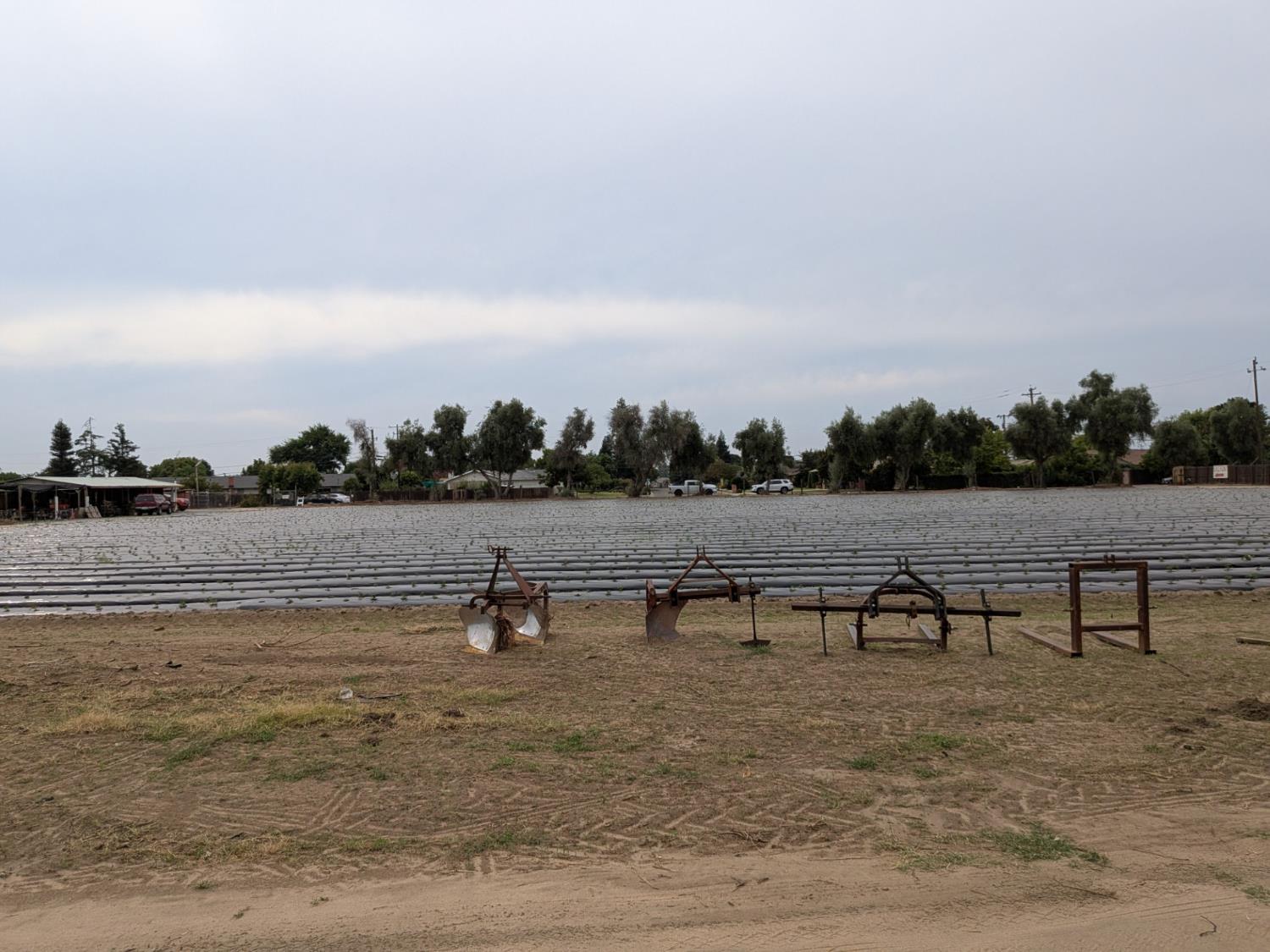 284 South Temperance Avenue Fresno, CA 93737 - Photo 16 of 23 a view of outdoor space with lots of trees