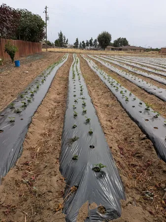 a view of street with a car parked on the road