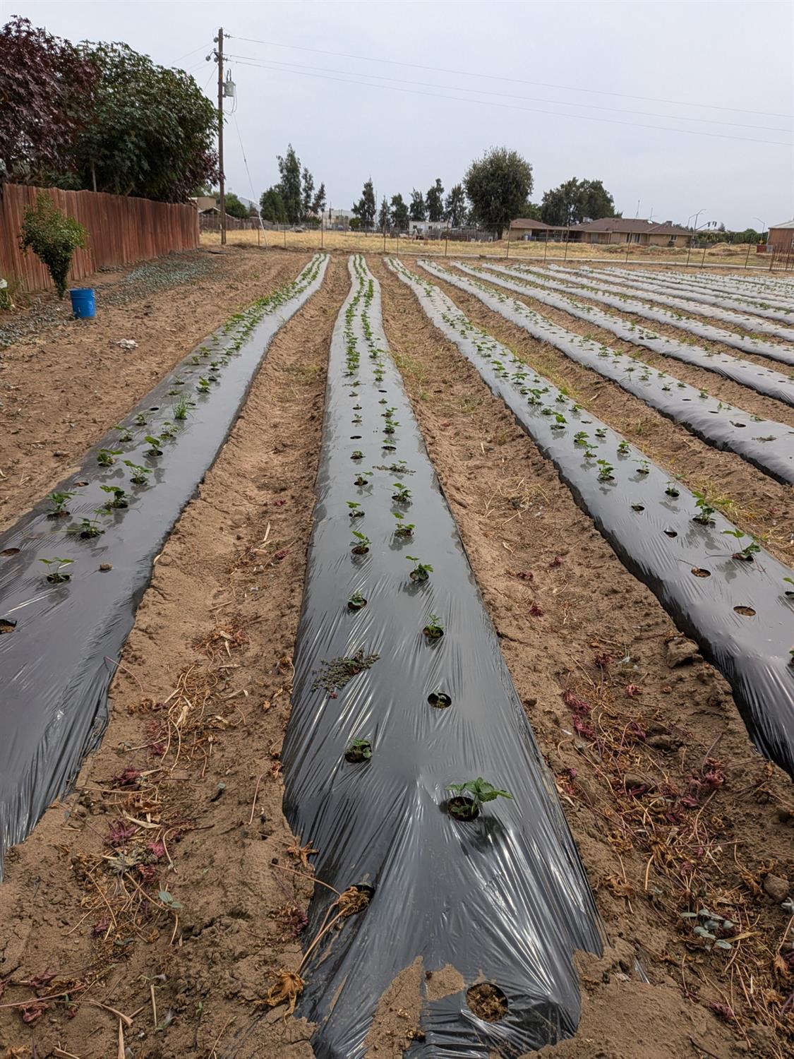 284 South Temperance Avenue Fresno, CA 93737 - Photo 17 of 23 a view of an ocean view