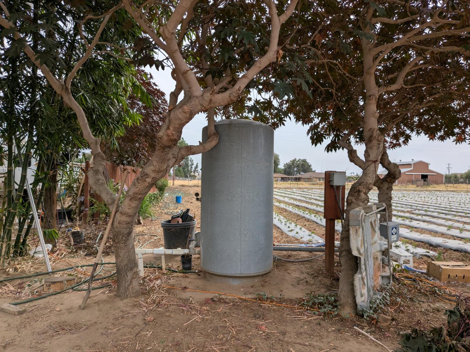 284 South Temperance Avenue Fresno, CA 93737 - Photo 22 of 23 a view of outdoor space and yard