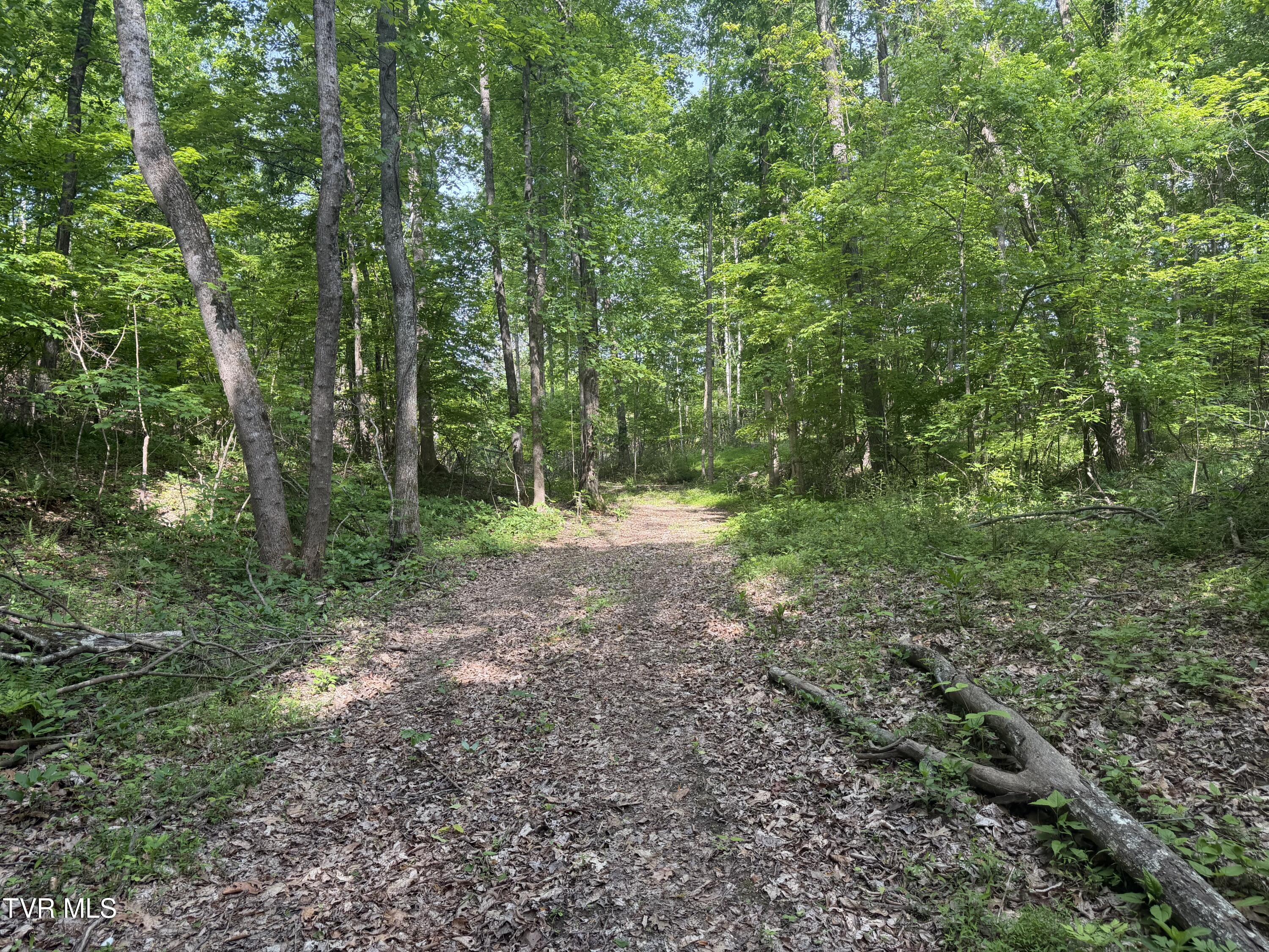 955 Old Hall Road, Unit 1 Chuckey, TN 37641 - Photo 11 of 31 IMG_4952