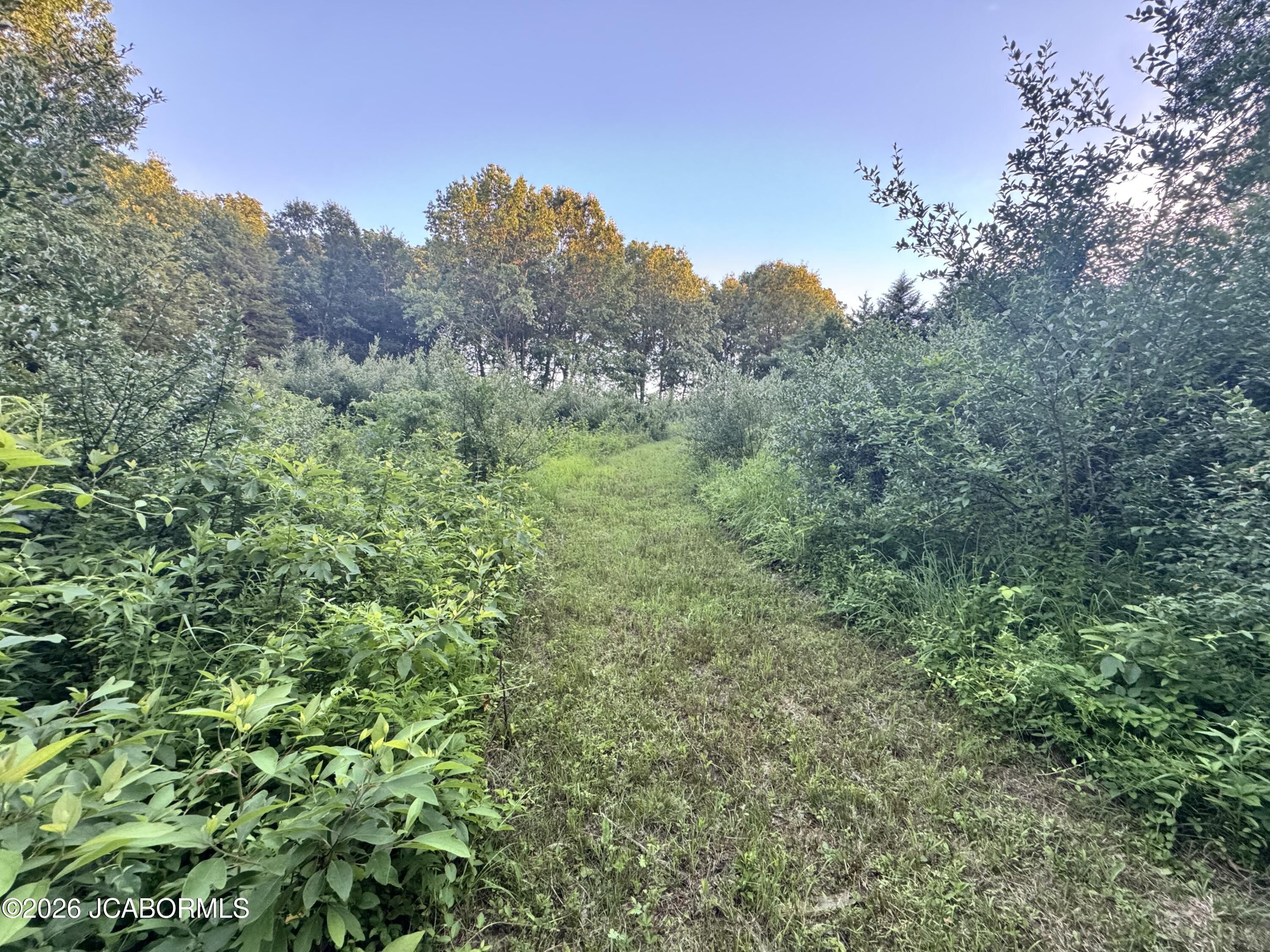 4898 State Rd Jj Fulton, MO 65251 - Photo 54 of 59