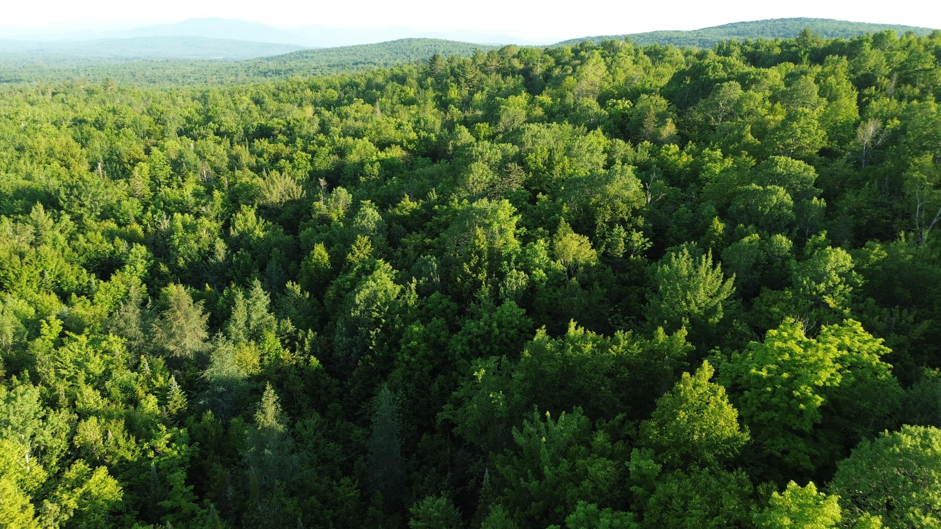 24a Anson Valley Road New Vineyard, ME 04956 - Photo 82 of 93 DJI_0096