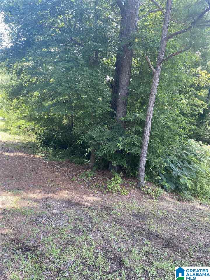4216 Alexander Road, Unit 1 & 2 Quinton, AL 35130 - Photo 1 of 3