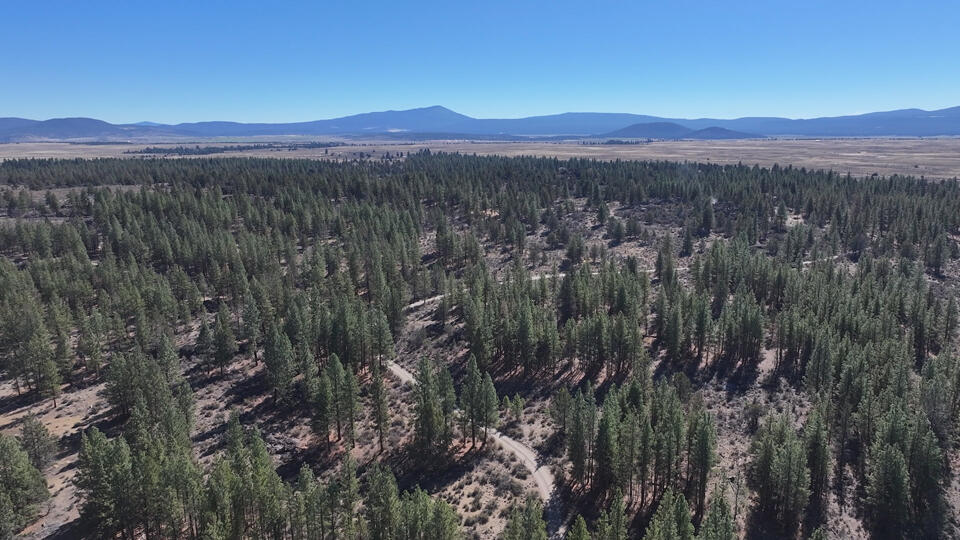 Oregon Pines Road, Unit TL 600 Sprague River, OR 97639 - Photo 4 of 52 3