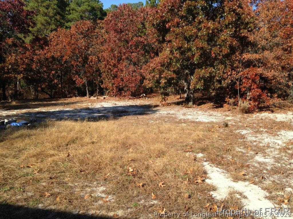 230 Ripley Road Cameron, NC 28326 - Photo 11 of 11 Gallery Image 11