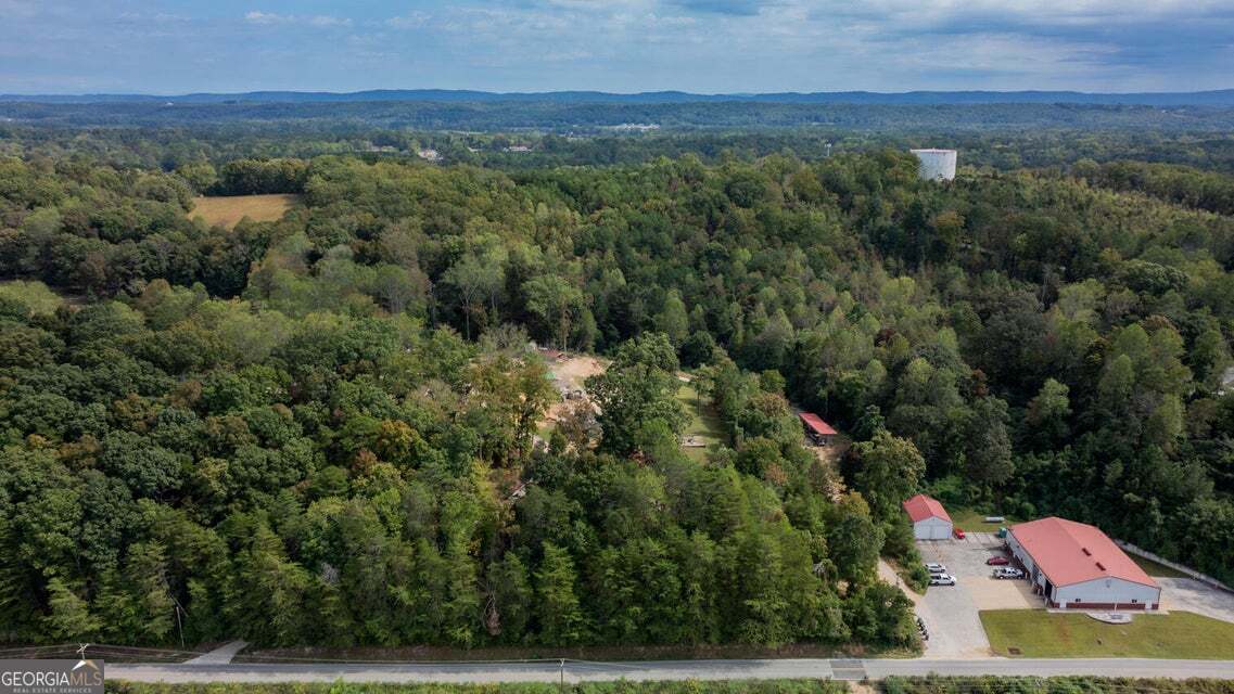 1876 Old Mineral Springs Road LaFayette, GA 30728 - Photo 49 of 52