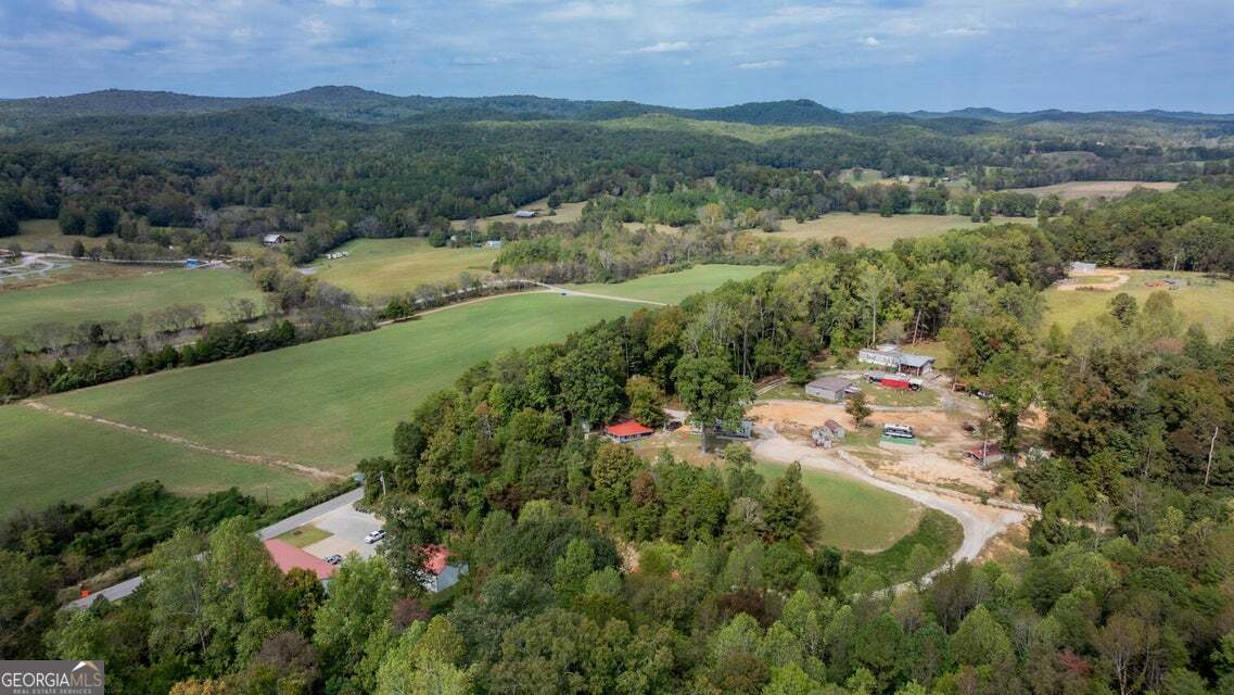 1876 Old Mineral Springs Road LaFayette, GA 30728 - Photo 52 of 52