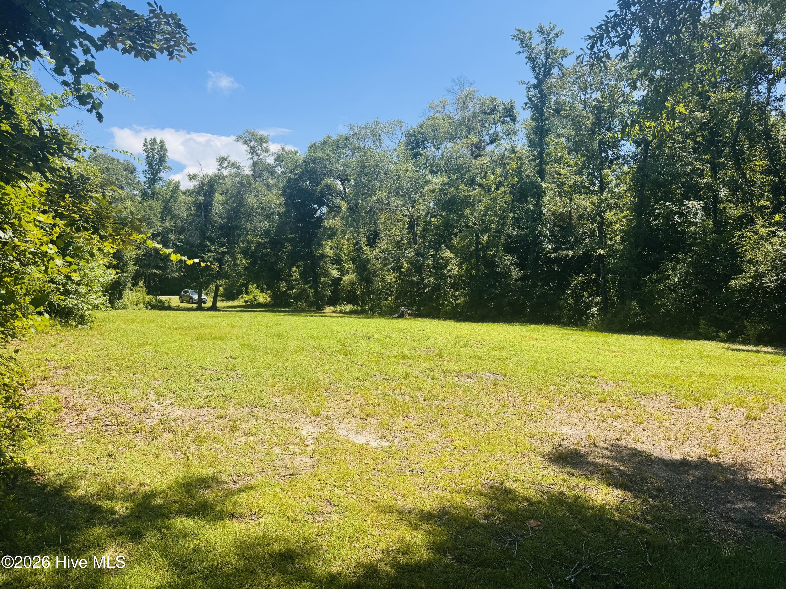 1042 Lake Cadeli Road Bartow, GA 30413 - Photo 10 of 17