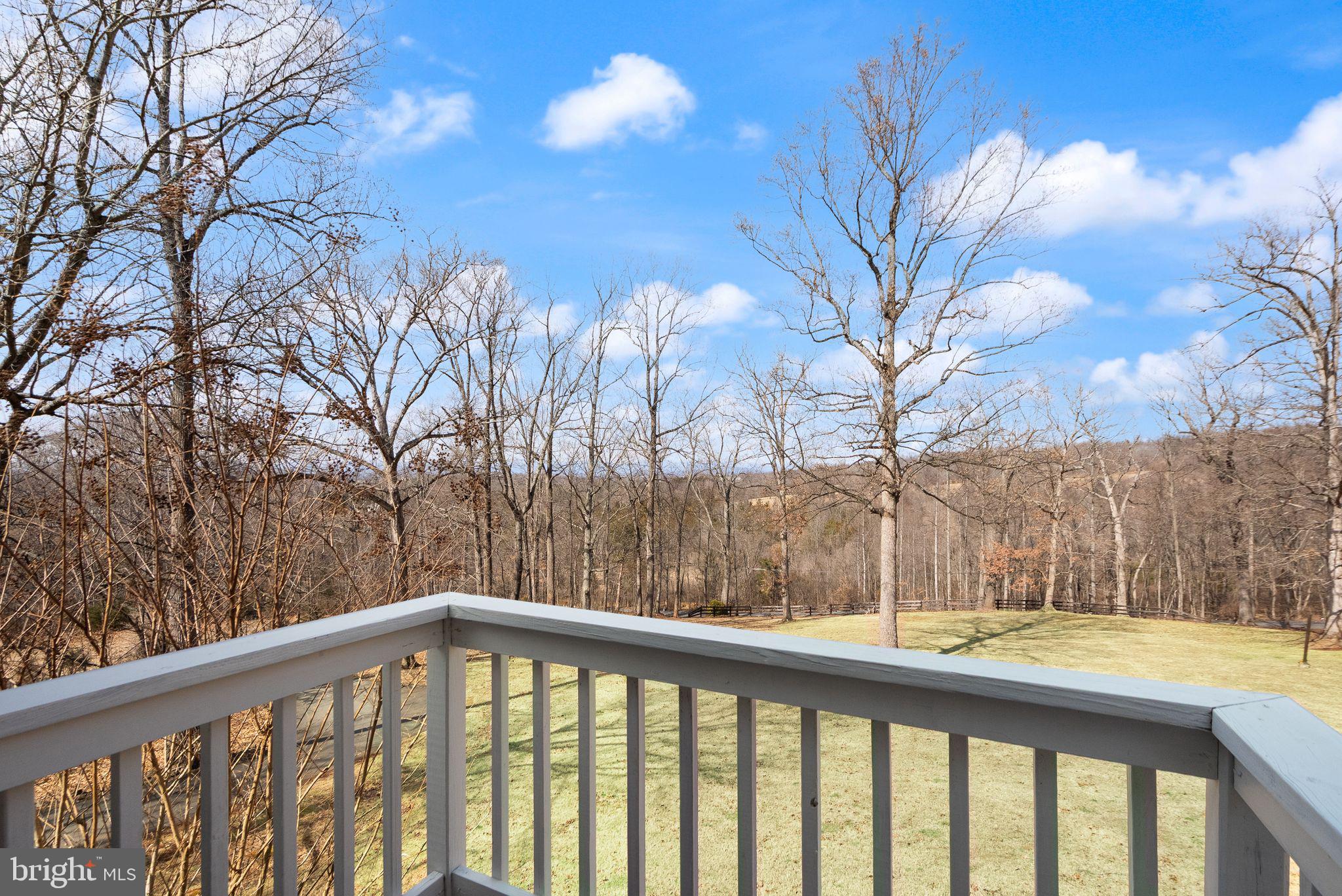 8089 Moormont Road Rapidan, VA 22733 - Photo 46 of 88 a view of trees and a yard from a balcony