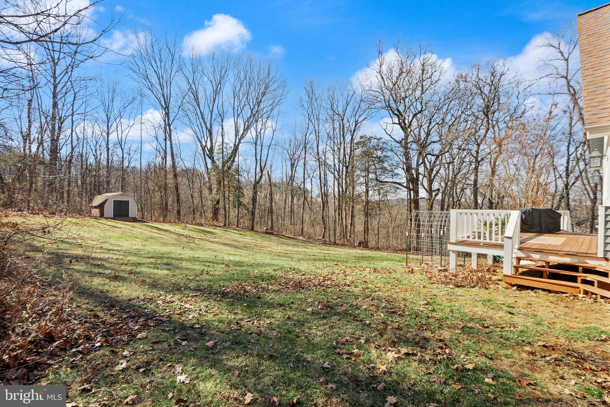 8089 Moormont Road Rapidan, VA 22733 - Photo 67 of 88