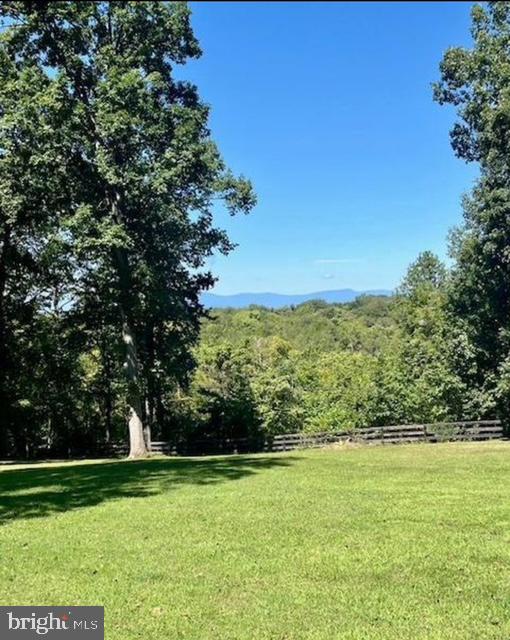 8089 Moormont Road Rapidan, VA 22733 - Photo 70 of 88 a view of a trees with a yard