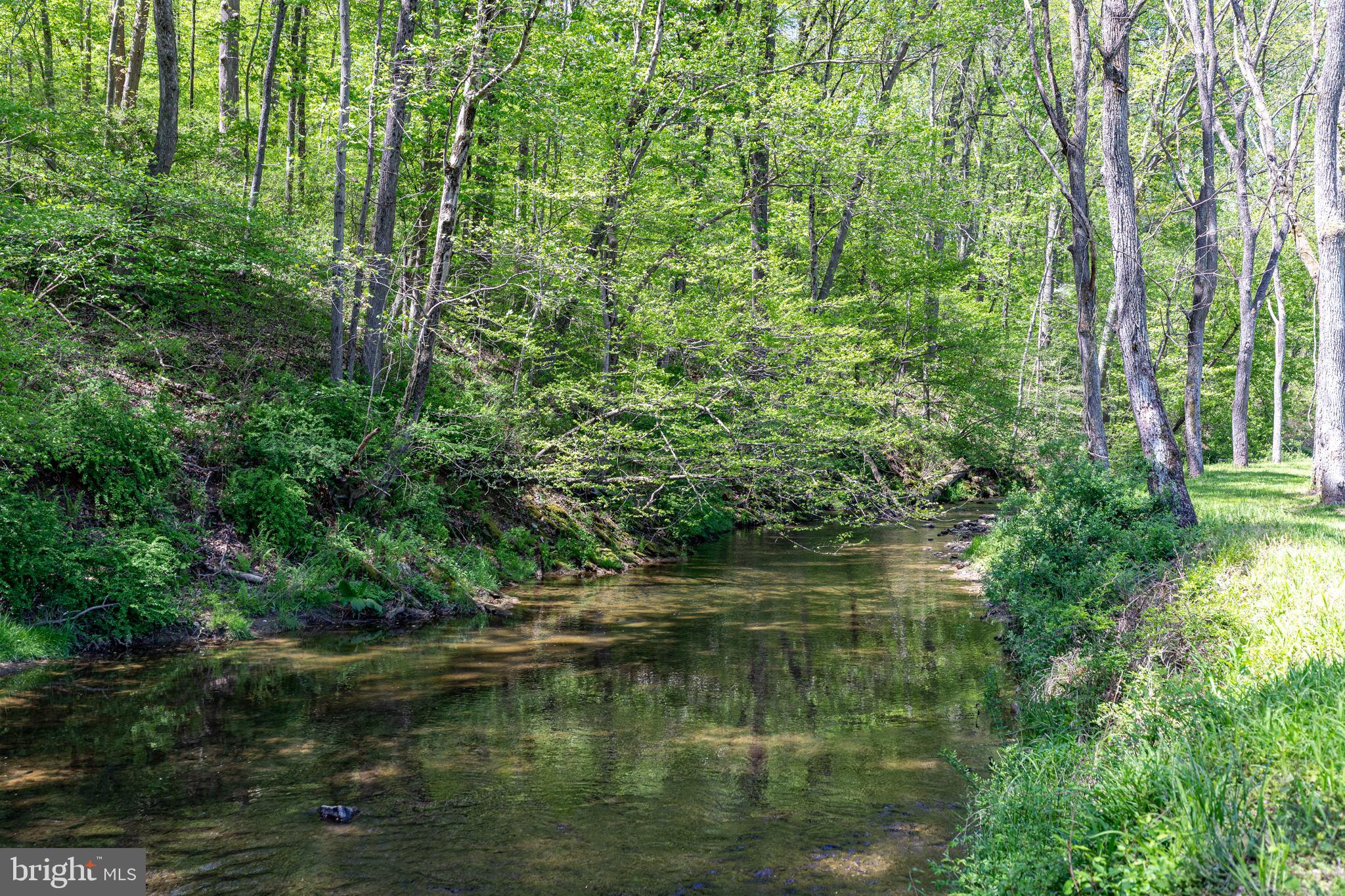 2310 Putnam Road Forest Hill, MD 21050 - Photo 9 of 90 Tranquil stream in lush greenery.