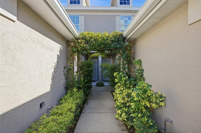 a view of a pathway with flower plants
