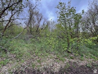 144 West Bear Tooth Ridge Coalville, UT 84017 - Photo 11 of 19 Image quality insufficient for description