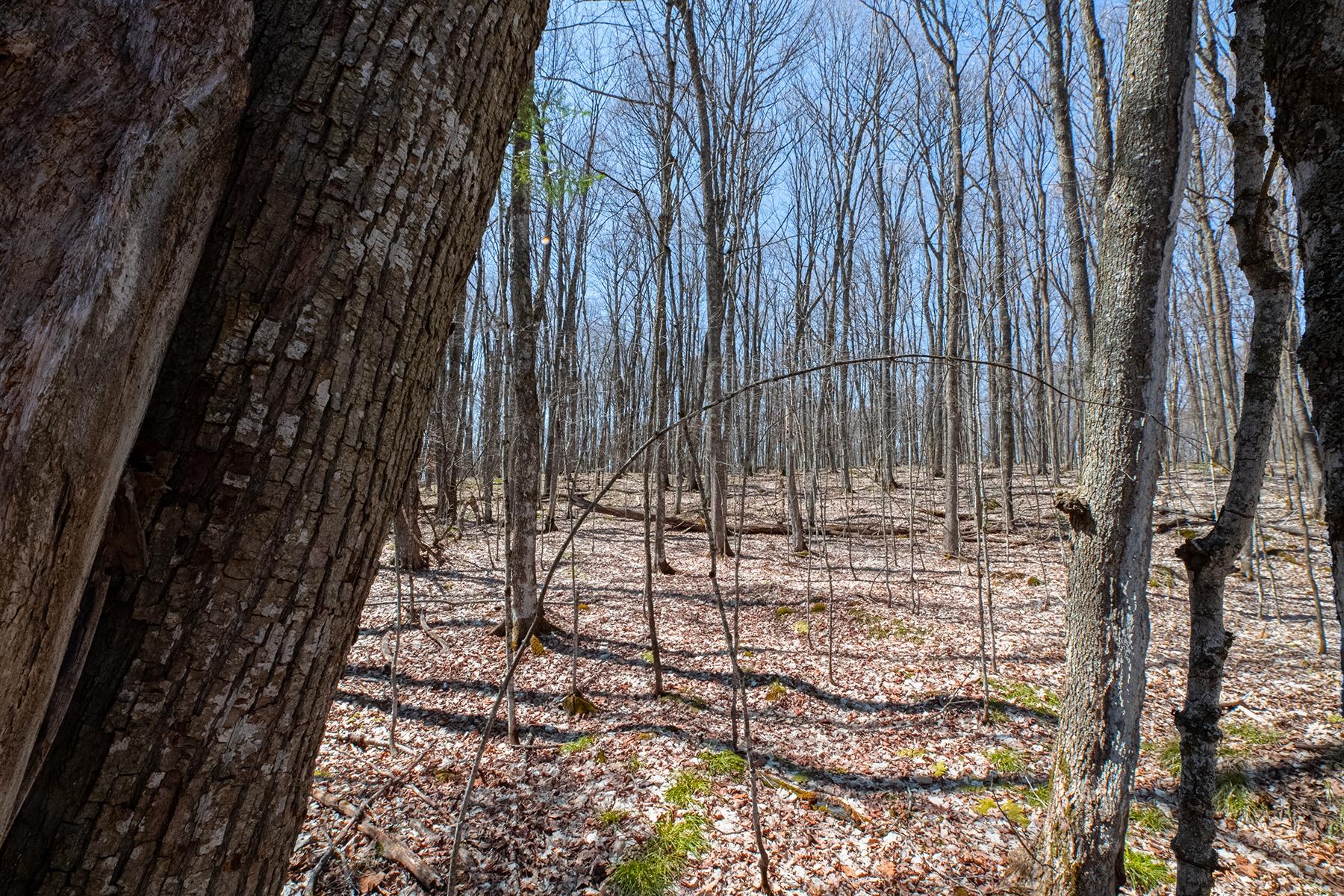 L11-13 Red Fox Road Presque Isle, WI 54557 - Photo 10 of 30 Gallery Image 10