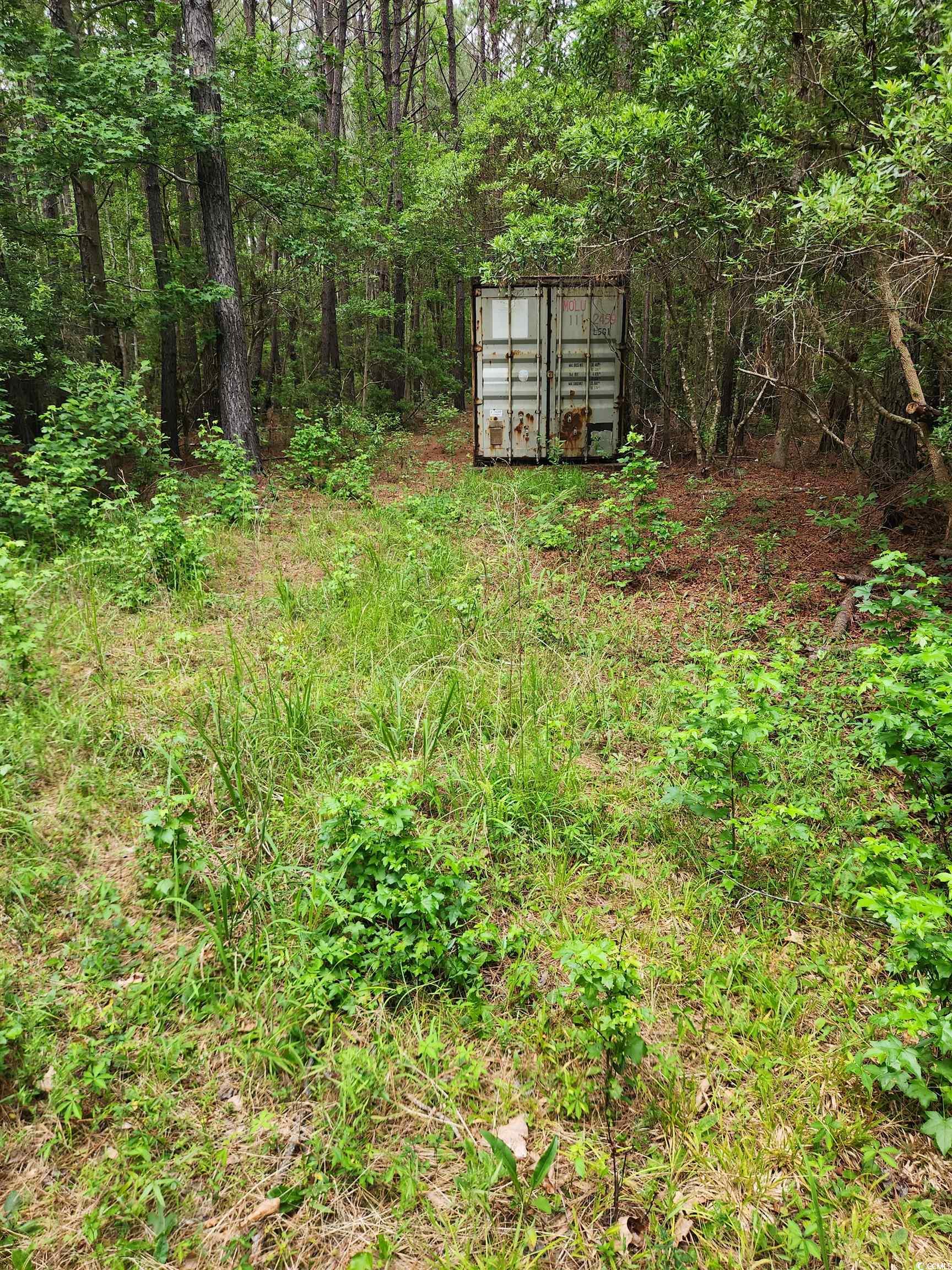 Tbd Thatchpalm Court Georgetown, SC 29440 - Photo 3 of 5 View of yard