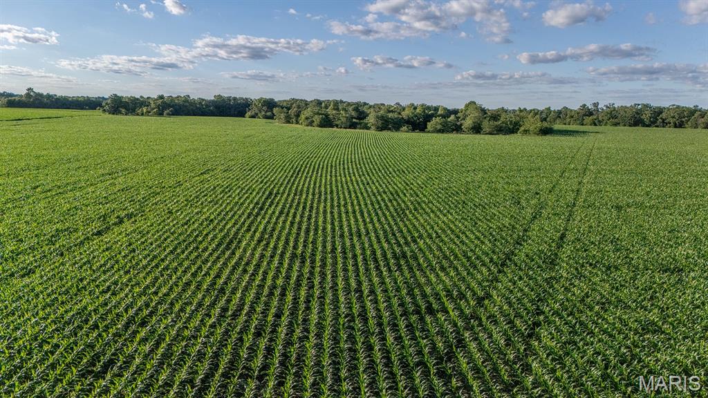 0 Gentry Road Monroe City, MO 63456 - Photo 2 of 19