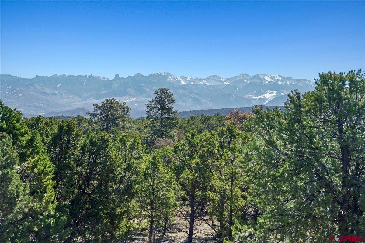 75 Pinnacle Drive Ridgway, CO 81432 - Photo 21 of 29 Gallery Image 21