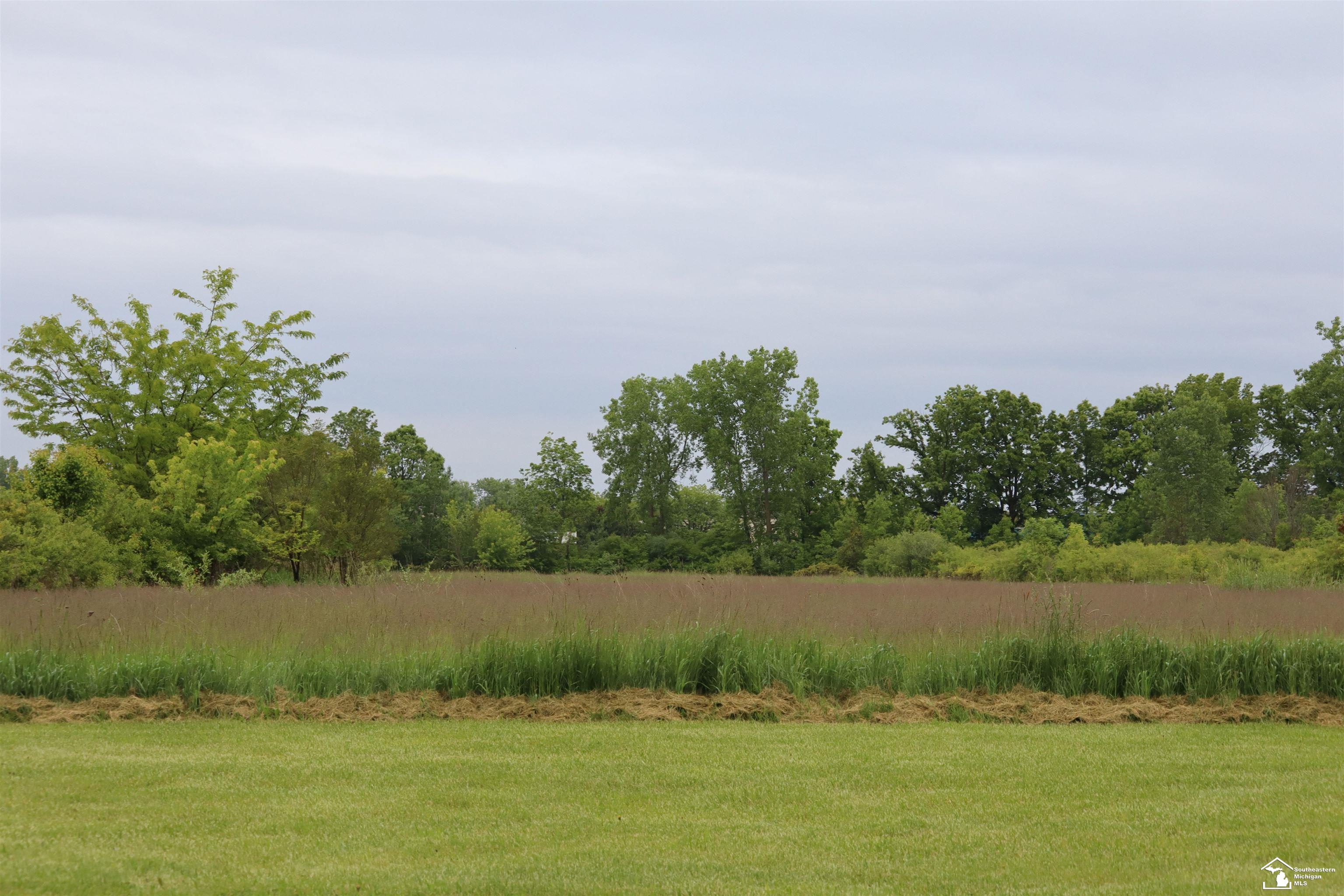 163 East Sterns Road Temperance, MI 48182 - Photo 3 of 12