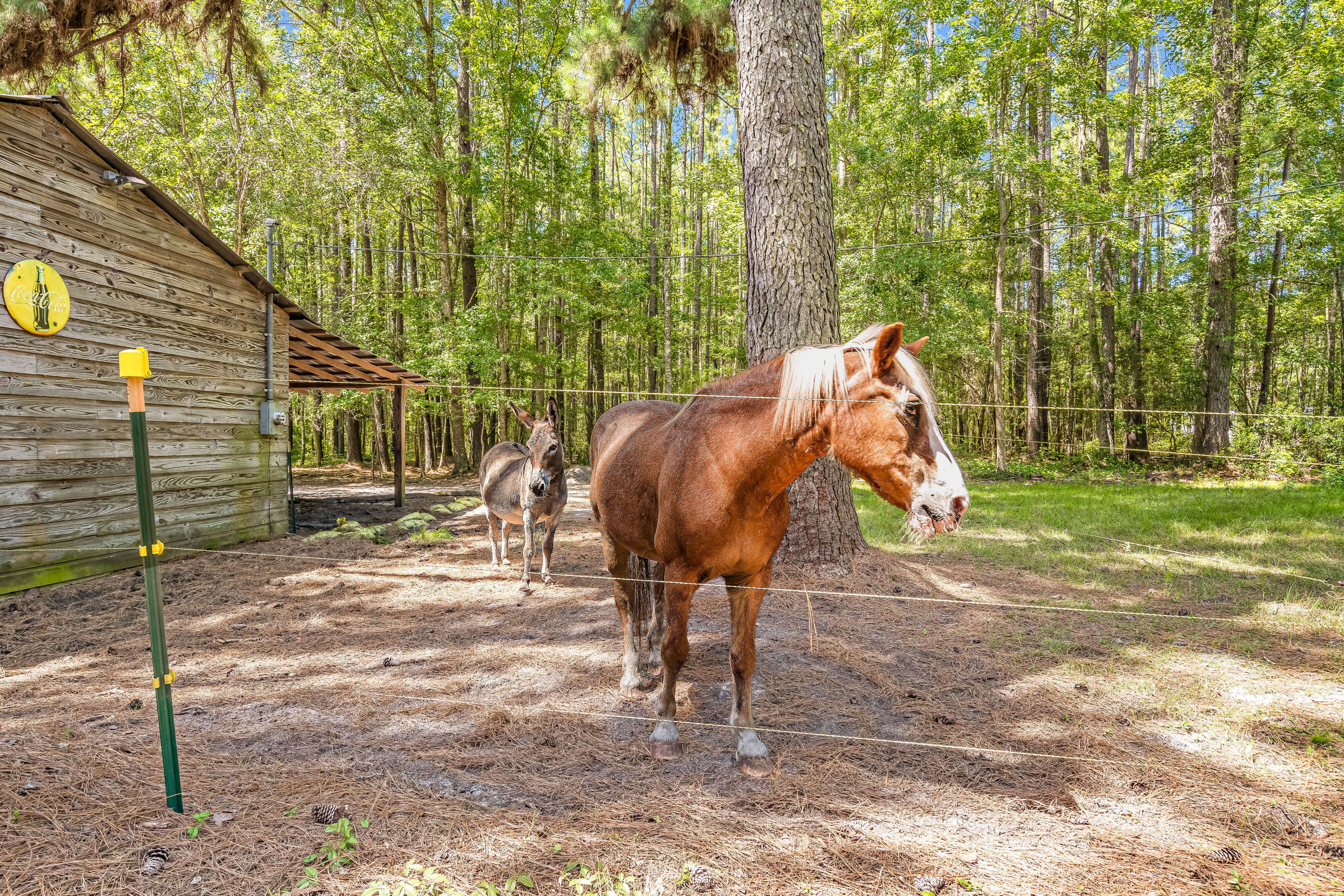 645 State Rd S-15-379 Walterboro, SC 29488 - Photo 25 of 30 GPS VISUALS R EPHOTOGRAPHY 26