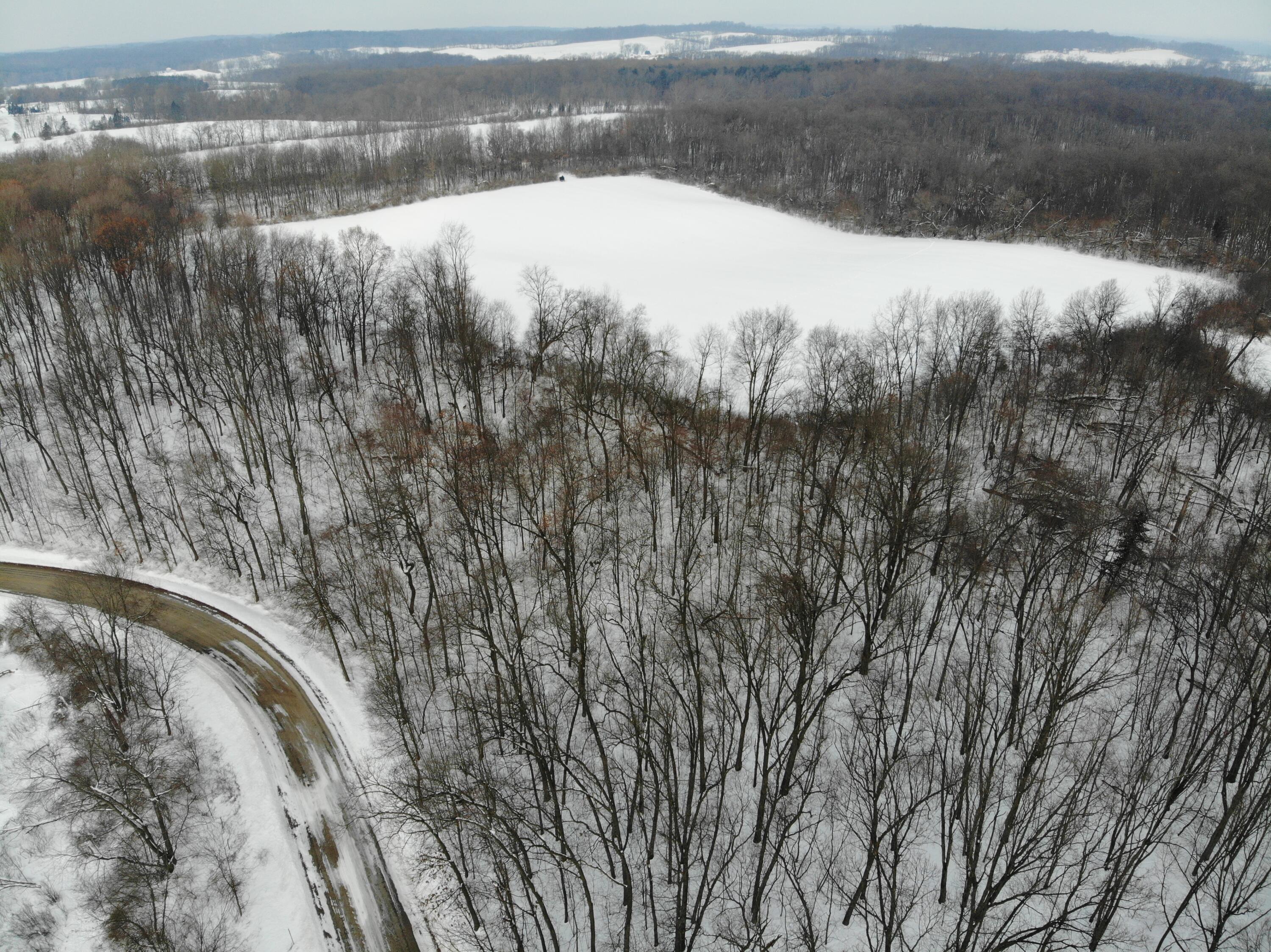 Three Rivers Mi 49093 Road Three Rivers, MI 49093 - Photo 1 of 2 DJI_0475