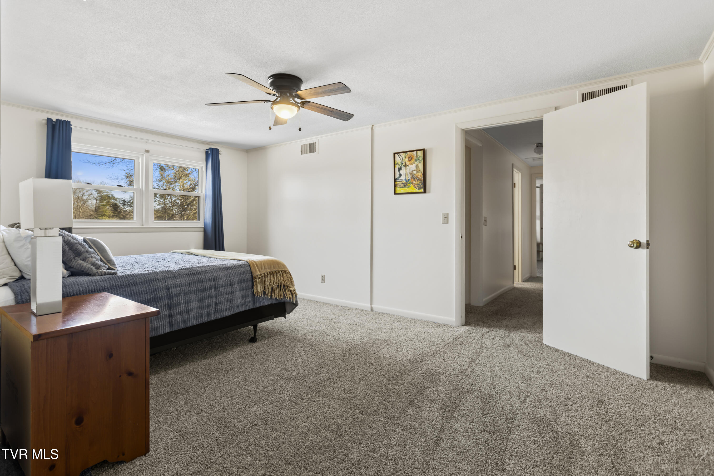 2112 Knob Creek Road Johnson City, TN 37604 - Photo 47 of 85 Upper level 4th Bedroom