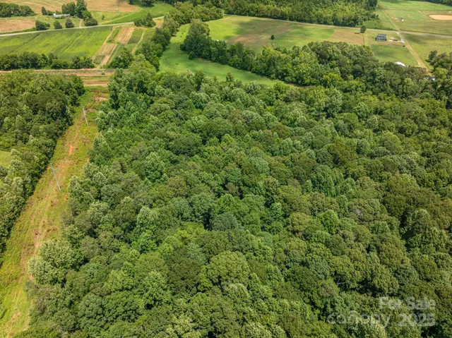 a view of a garden with a lake