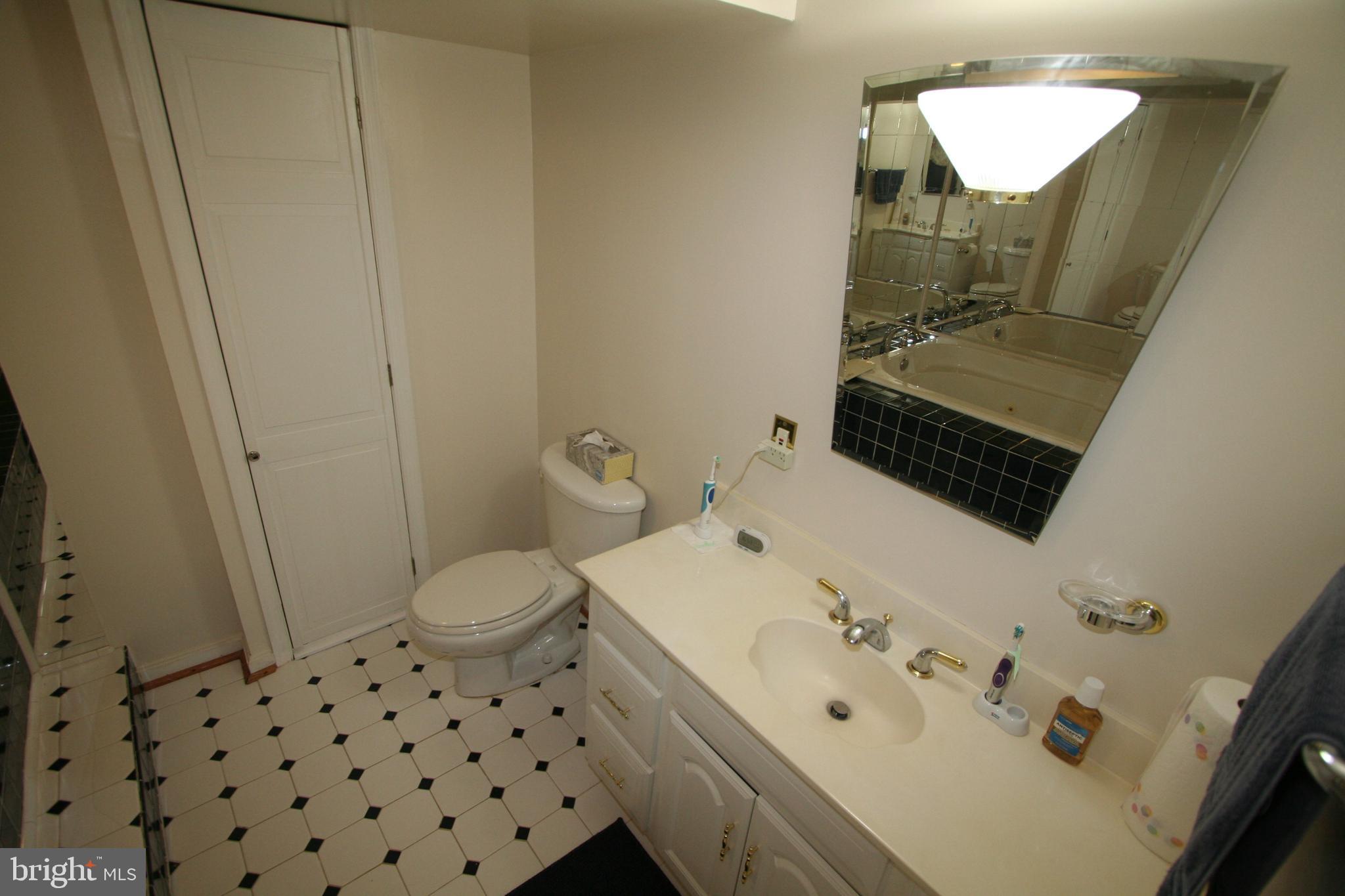 12718 Gould Road Silver Spring, MD 20906 - Photo 36 of 55 a bathroom with a sink and a mirror