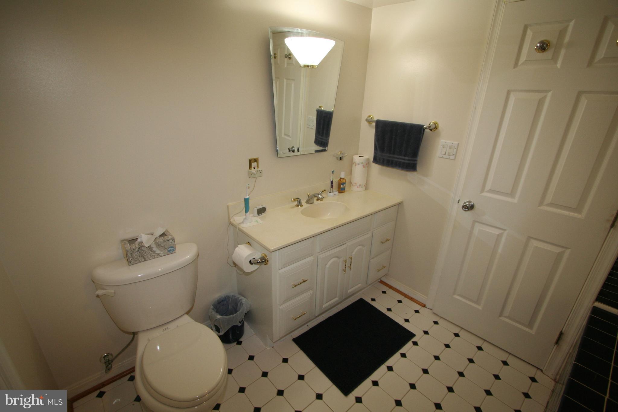 12718 Gould Road Silver Spring, MD 20906 - Photo 38 of 55 a bathroom with a sink toilet a mirror and shower