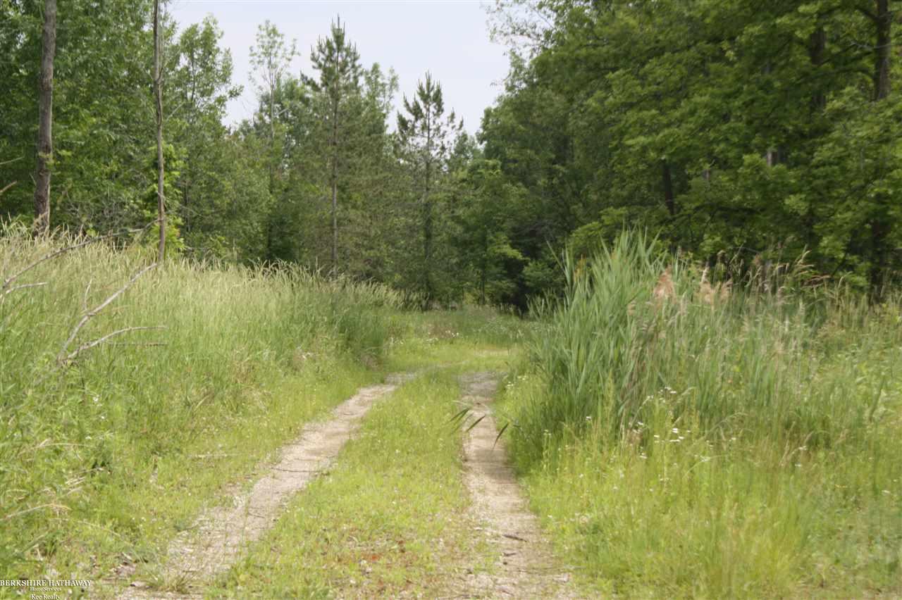 0 36 36 Mile Road Romeo, MI 48065 - Photo 16 of 21