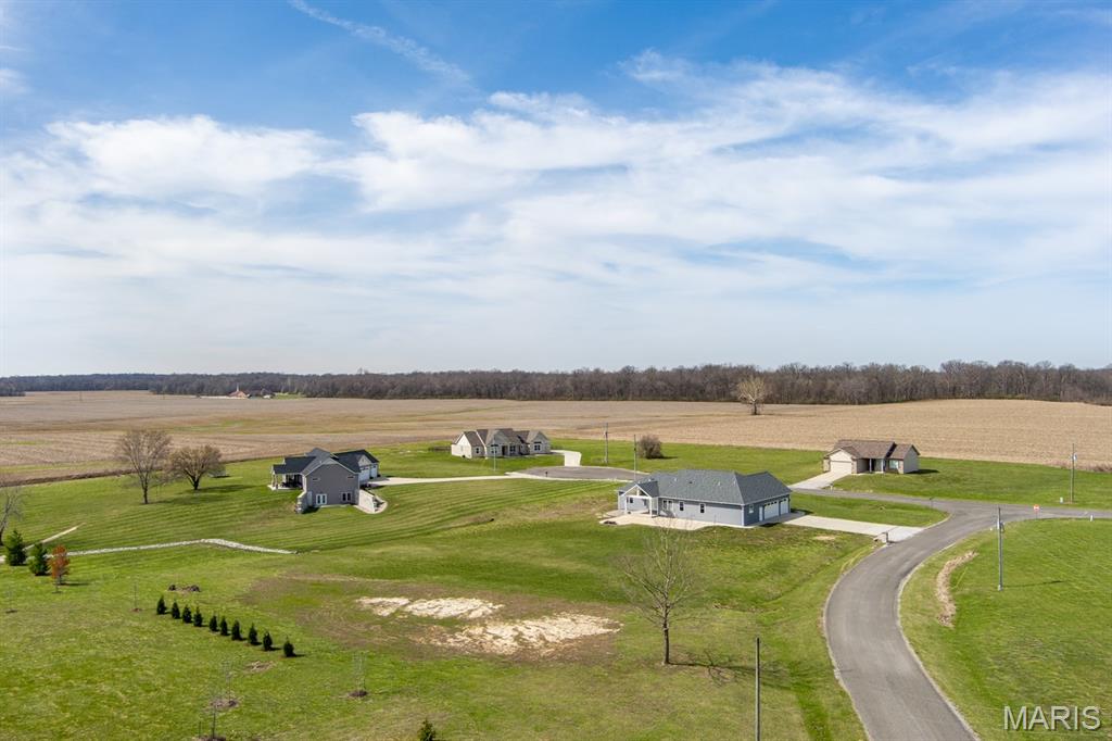 6602 Golden Raintree Avenue Edwardsville, IL 62025 - Photo 11 of 53