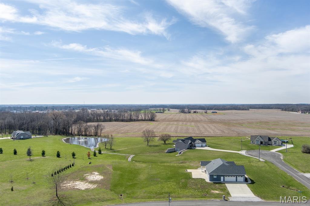 6602 Golden Raintree Avenue Edwardsville, IL 62025 - Photo 12 of 53