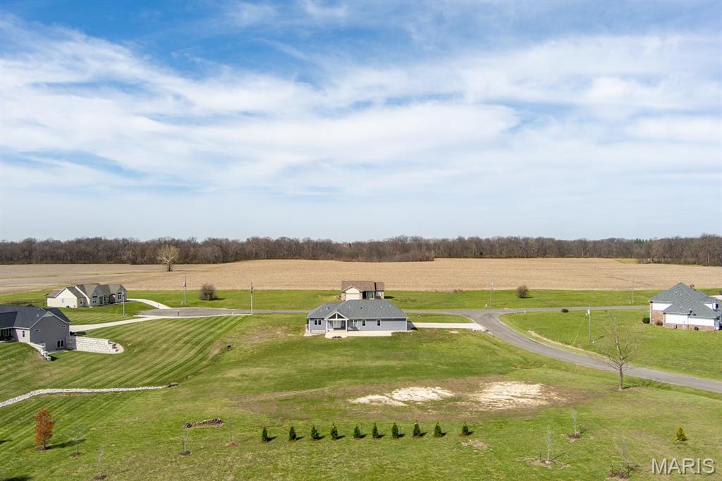 6602 Golden Raintree Avenue Edwardsville, IL 62025 - Photo 10 of 53