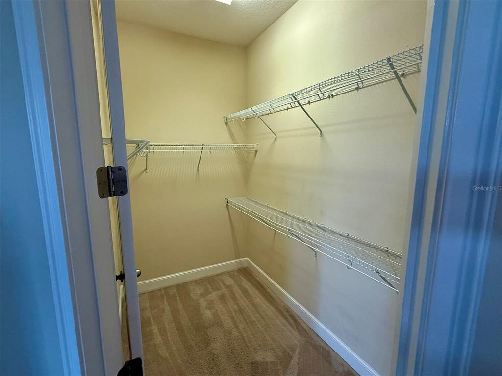 10631 Village Lake Road Windermere, FL 34786 - Photo 12 of 38 Primary downstairs closet