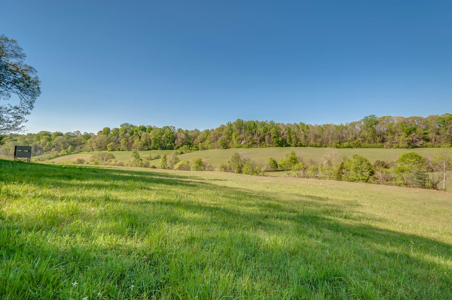 5593 Snow Creek Road Santa Fe, TN 38482 - Photo 1 of 22 a view of grassy field with trees