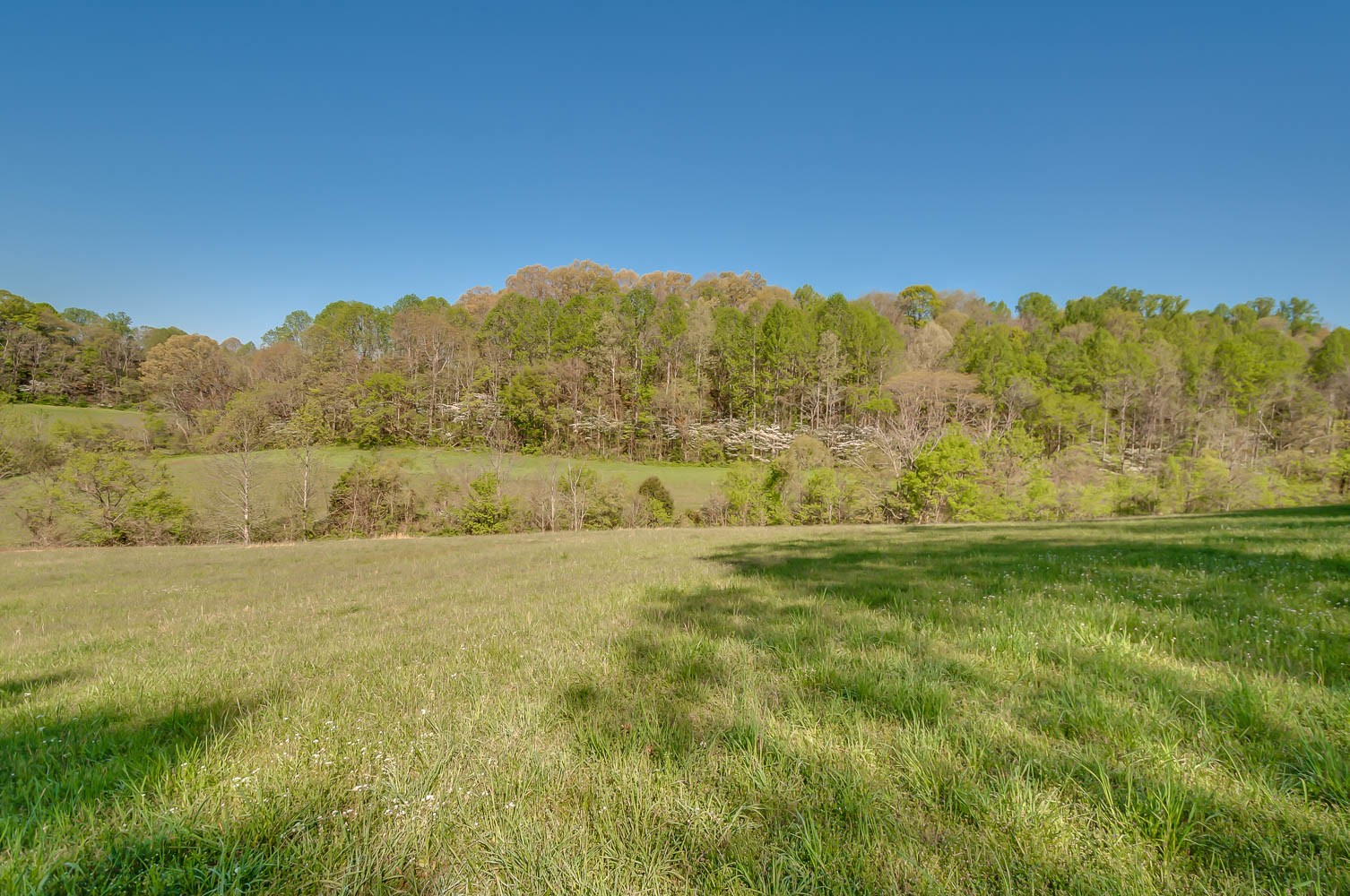 5593 Snow Creek Road Santa Fe, TN 38482 - Photo 2 of 22 a view of an outdoor space and a yard