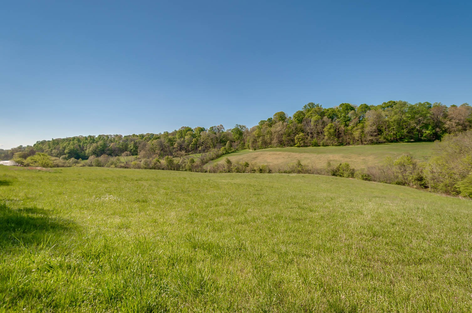 5593 Snow Creek Road Santa Fe, TN 38482 - Photo 11 of 22 a view of an ocean and beach