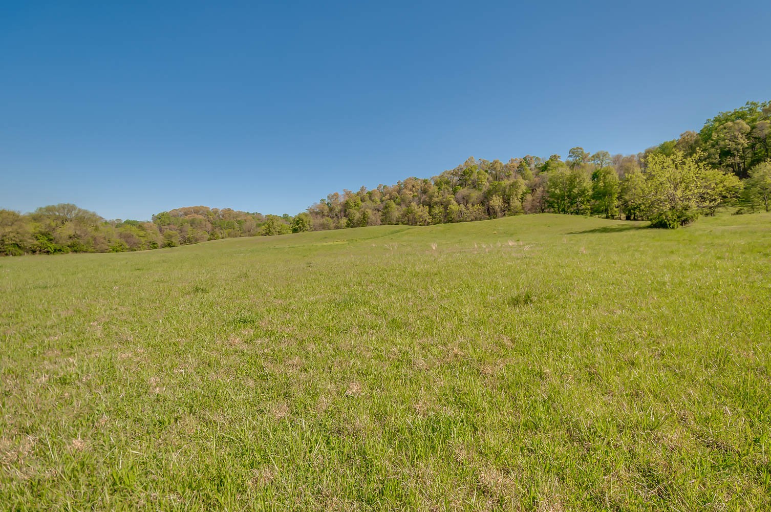 5593 Snow Creek Road Santa Fe, TN 38482 - Photo 12 of 22 a view of an ocean and beach