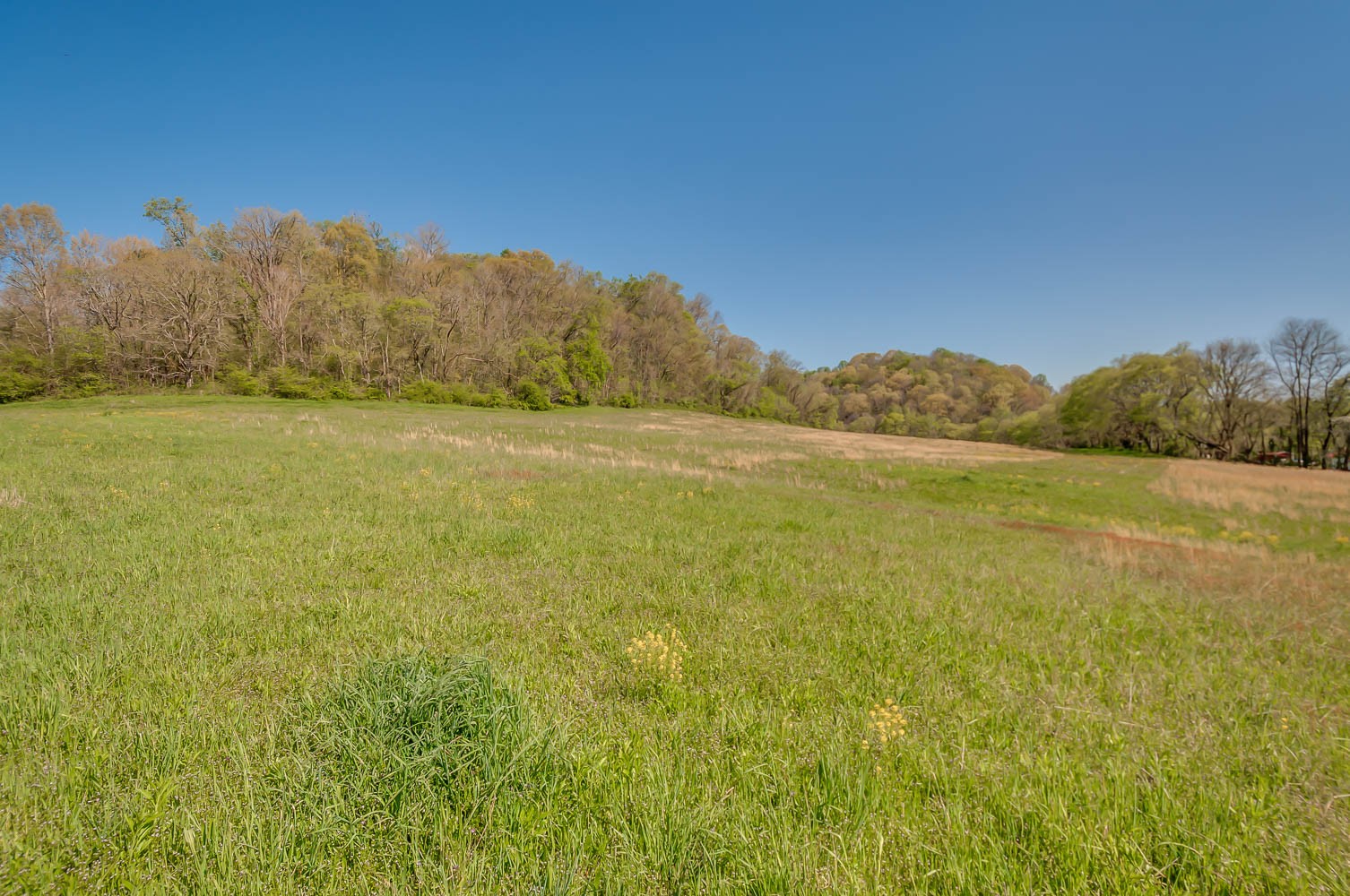 5593 Snow Creek Road Santa Fe, TN 38482 - Photo 16 of 22 a view of an ocean and beach