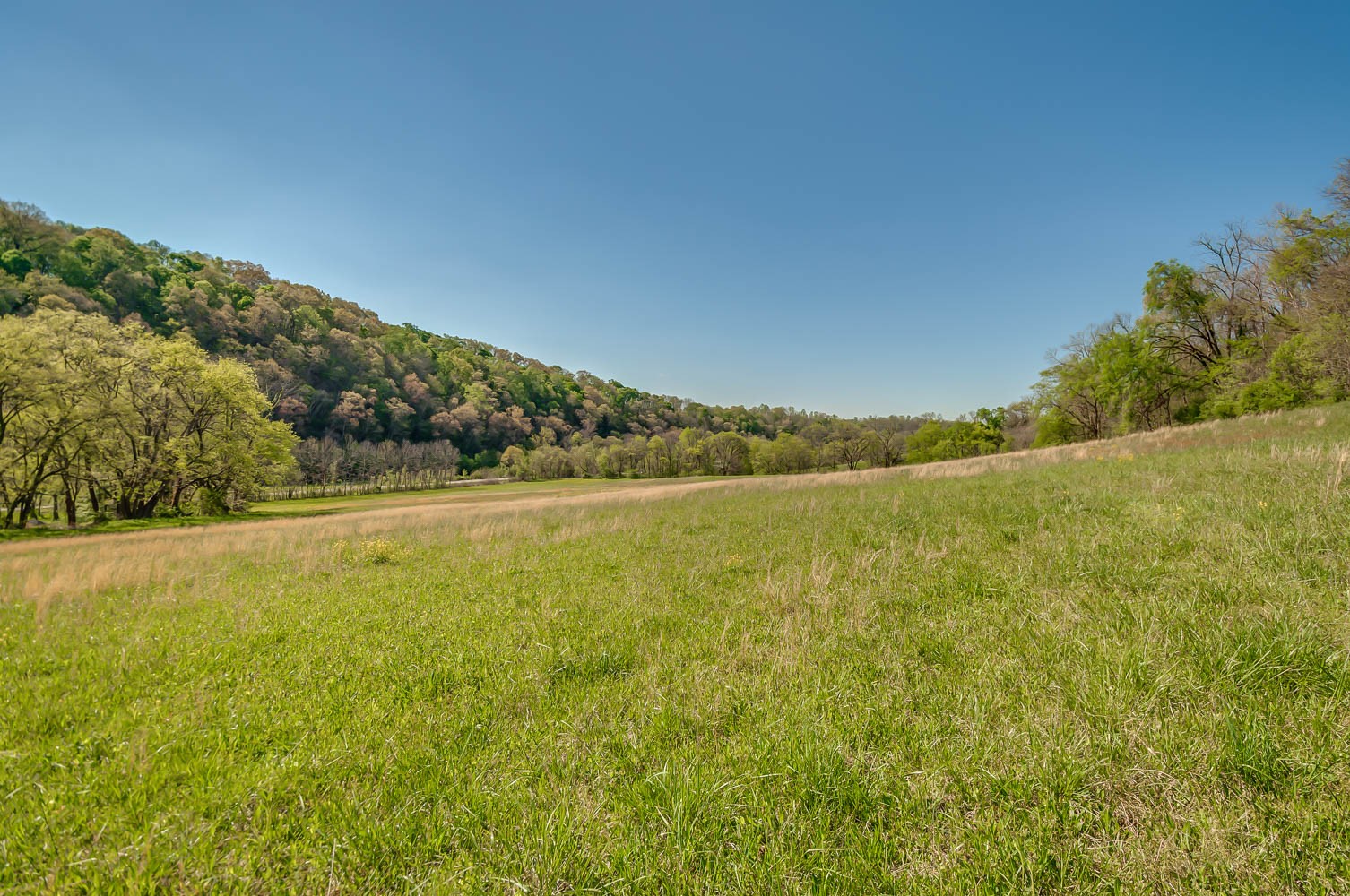 5593 Snow Creek Road Santa Fe, TN 38482 - Photo 17 of 22 a view of an ocean and a mountain