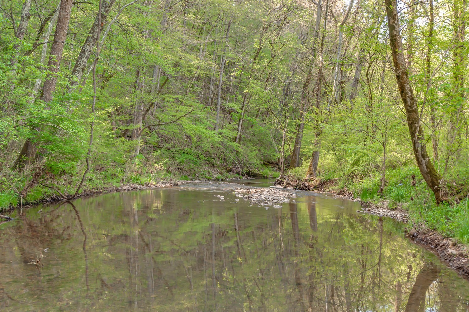 5593 Snow Creek Road Santa Fe, TN 38482 - Photo 19 of 22 a view of pool with a yard