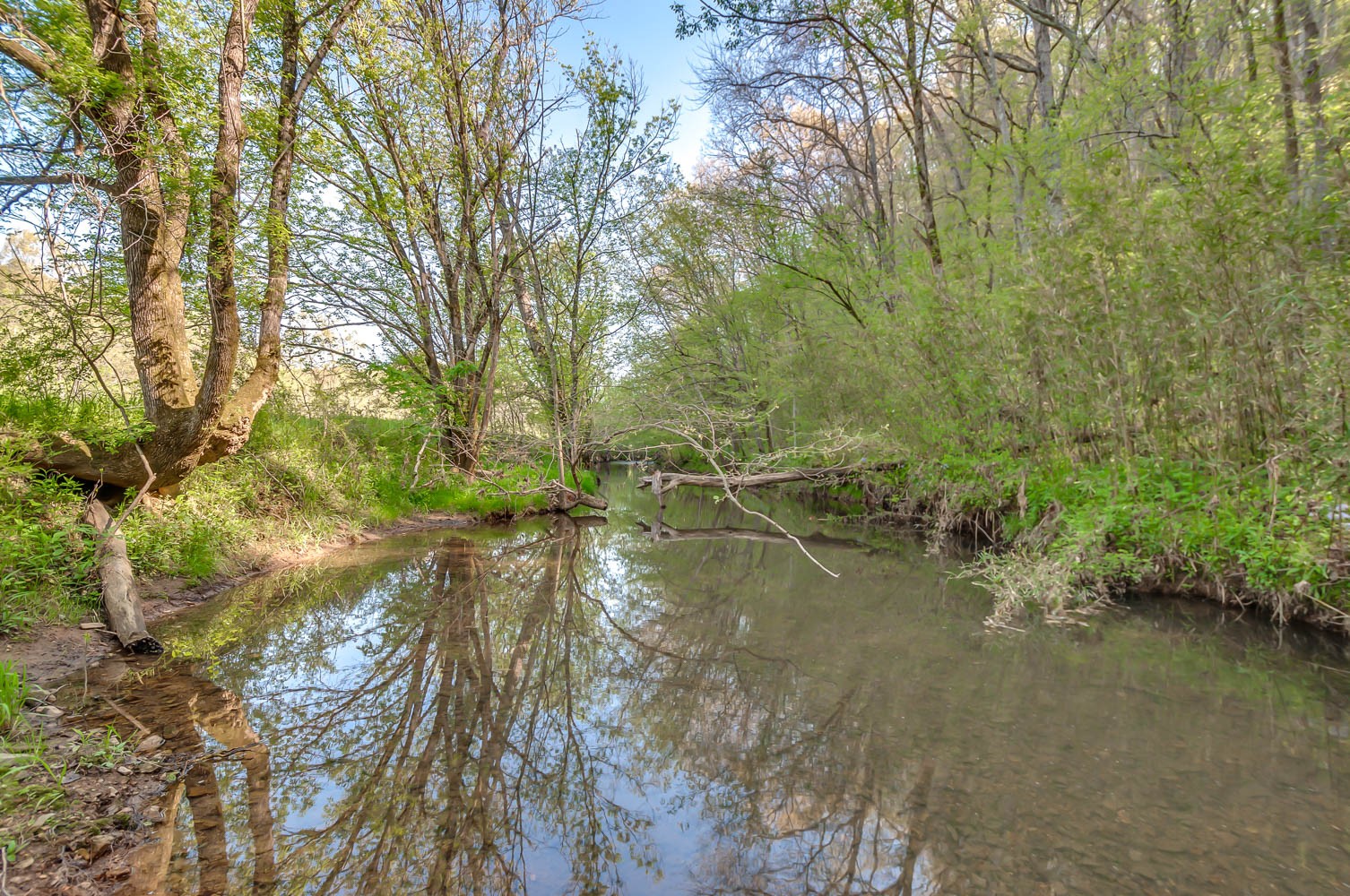 5593 Snow Creek Road Santa Fe, TN 38482 - Photo 20 of 22 a view of a forest