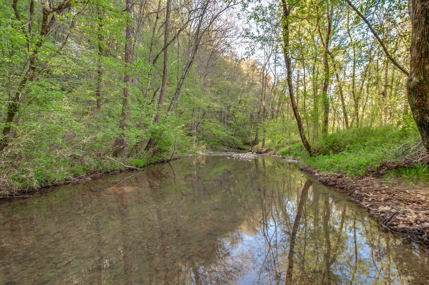5593 Snow Creek Road Santa Fe, TN 38482 - Photo 3 of 22 a view of a lake view