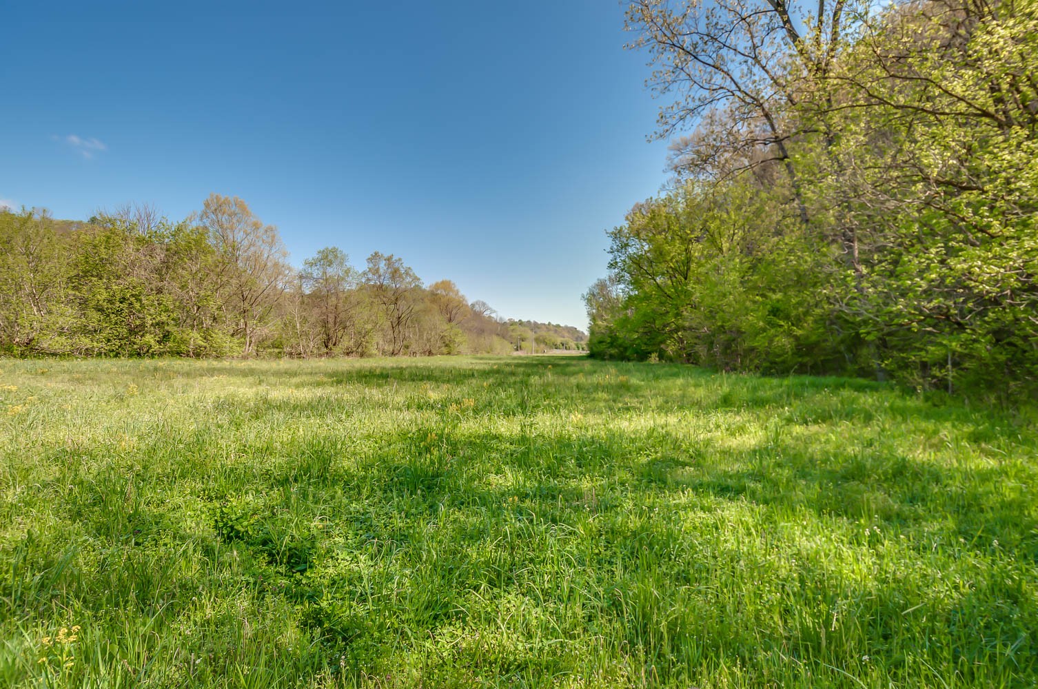 5593 Snow Creek Road Santa Fe, TN 38482 - Photo 22 of 22 a view of outdoor space and yard